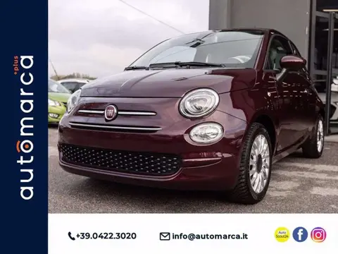 Used FIAT 500 Petrol 2021 Ad 