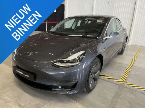 Used TESLA MODEL 3 Electric 2019 Ad 