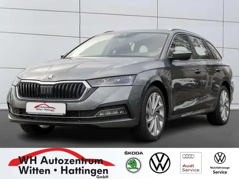 Annonce SKODA OCTAVIA Essence 2023 d'occasion 