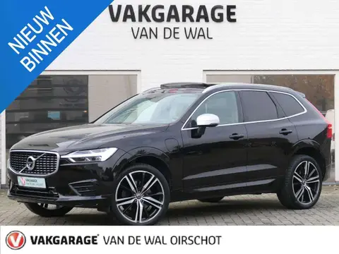 Annonce VOLVO XC60 Hybride 2018 d'occasion 