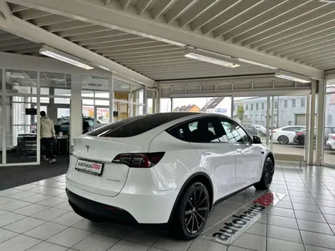 Used TESLA MODEL Y Electric 2021 Ad 