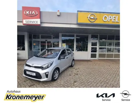 Used KIA PICANTO Petrol 2019 Ad 