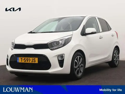 Used KIA PICANTO Petrol 2023 Ad 