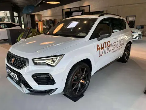 Annonce CUPRA ATECA Essence 2024 d'occasion 