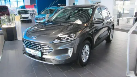 Used FORD KUGA Diesel 2023 Ad 