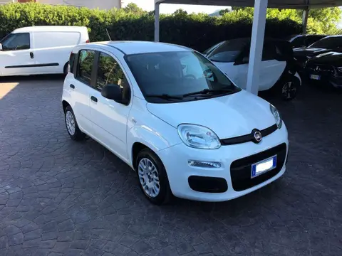 Used FIAT PANDA Petrol 2018 Ad 