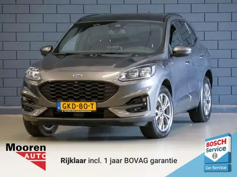 Used FORD KUGA Hybrid 2023 Ad 