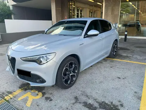 Used ALFA ROMEO STELVIO Diesel 2021 Ad 