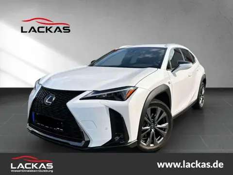 Used LEXUS UX Hybrid 2023 Ad 