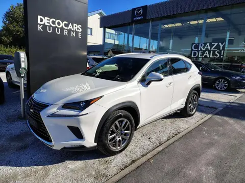 Used LEXUS NX Petrol 2018 Ad 