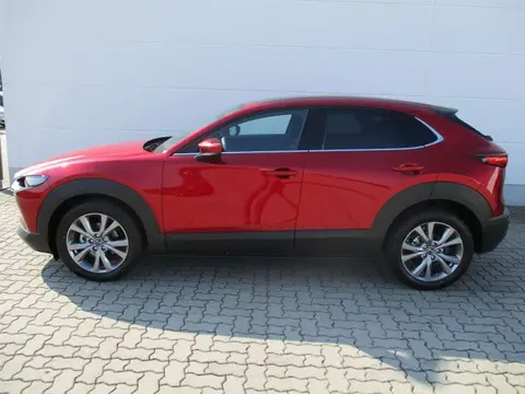 Annonce MAZDA CX-30 Essence 2024 d'occasion Allemagne