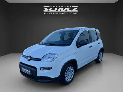 Used FIAT PANDA Petrol 2024 Ad 