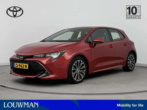 Used TOYOTA COROLLA Petrol 2019 Ad 