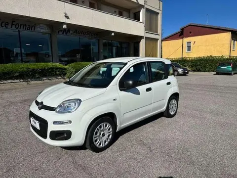 Used FIAT PANDA Petrol 2020 Ad 