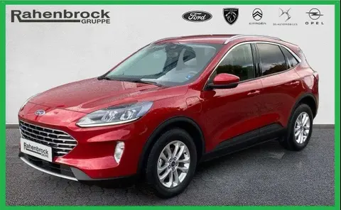 Annonce FORD KUGA Hybride 2023 d'occasion 