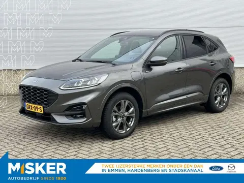 Used FORD KUGA Hybrid 2024 Ad 