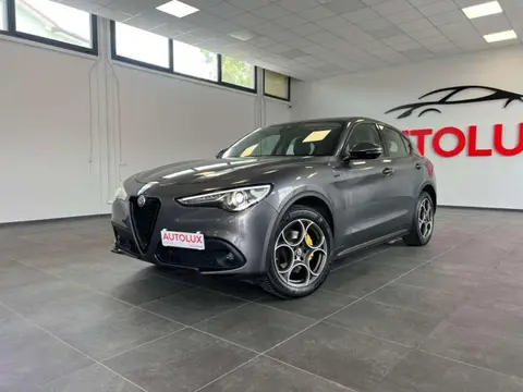 Used ALFA ROMEO STELVIO Diesel 2020 Ad 