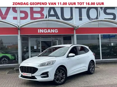 Annonce FORD KUGA Hybride 2021 d'occasion 