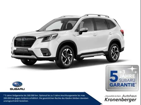 Annonce SUBARU FORESTER Essence 2024 d'occasion 