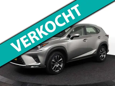 Used LEXUS NX Hybrid 2018 Ad 