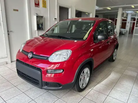 Annonce FIAT PANDA Hybride 2024 d'occasion 