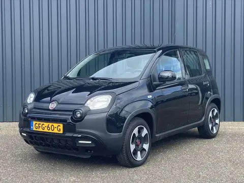 Used FIAT PANDA Hybrid 2022 Ad 