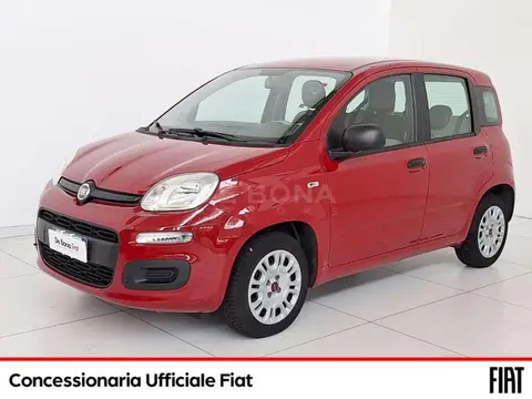 Used FIAT PANDA Petrol 2016 Ad 