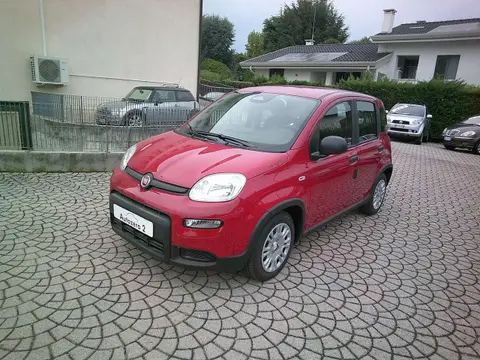 Used FIAT PANDA Hybrid 2024 Ad 