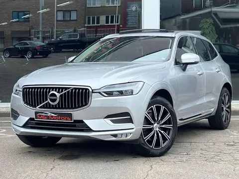 Used VOLVO XC60 Diesel 2019 Ad Belgium