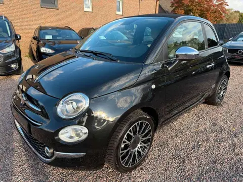 Used FIAT 500 Petrol 2023 Ad 