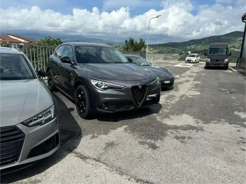 Used ALFA ROMEO STELVIO Diesel 2018 Ad 