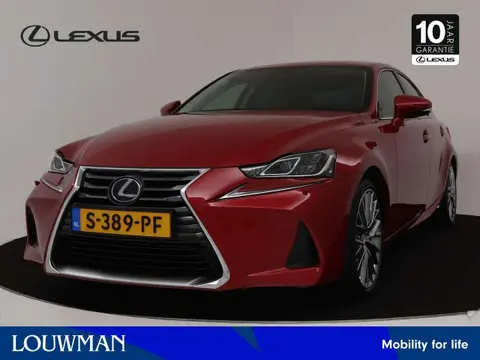 Used LEXUS IS Hybrid 2019 Ad 