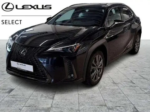 Used LEXUS UX Hybrid 2023 Ad 