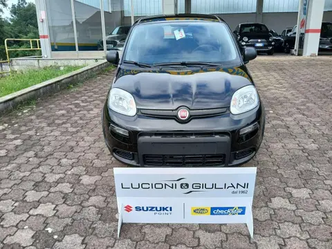 Annonce FIAT PANDA Hybride 2024 d'occasion 