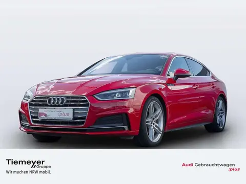 Used AUDI A5 Diesel 2018 Ad 