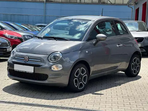 Used FIAT 500 Petrol 2023 Ad 