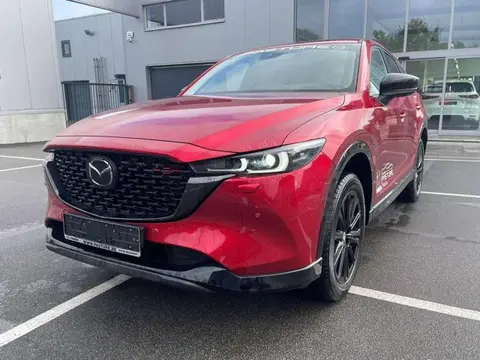 Annonce MAZDA CX-5 Essence 2024 d'occasion 