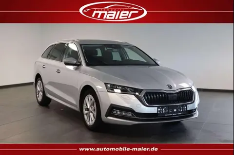 Used SKODA OCTAVIA Diesel 2020 Ad 