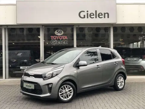 Used KIA PICANTO Petrol 2023 Ad 