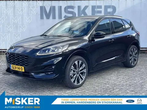 Annonce FORD KUGA Hybride 2023 d'occasion 