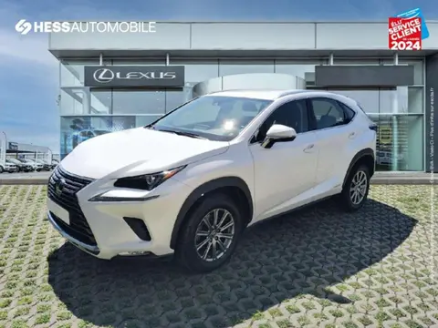 Used LEXUS NX  2021 Ad 