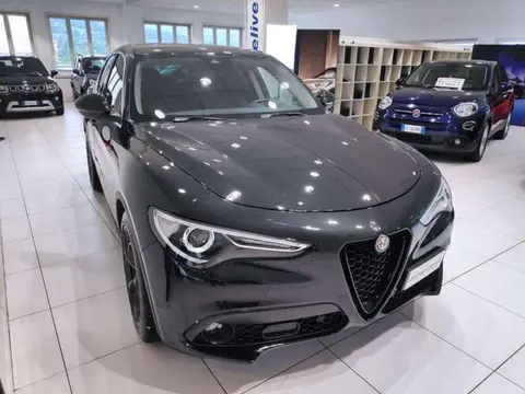 Annonce ALFA ROMEO STELVIO Diesel 2018 d'occasion 