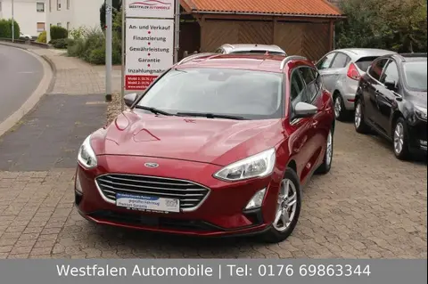 Annonce FORD FOCUS Essence 2020 d'occasion 