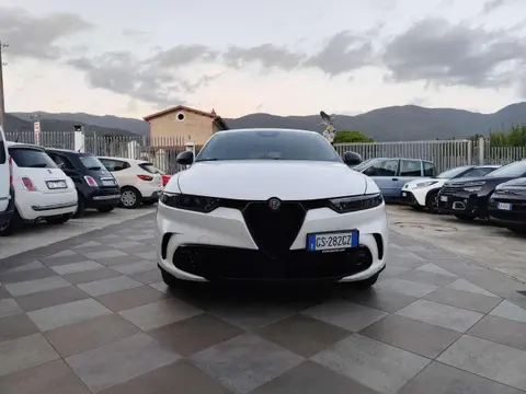 Annonce ALFA ROMEO TONALE Diesel 2024 d'occasion 