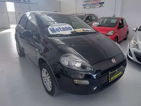 Used FIAT PUNTO  2018 Ad 