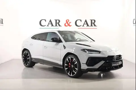 Used LAMBORGHINI URUS Petrol 2023 Ad 