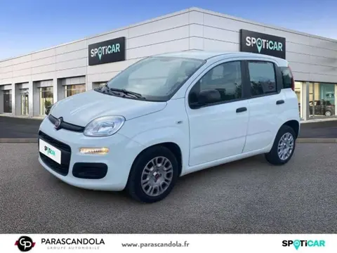 Used FIAT PANDA  2021 Ad 