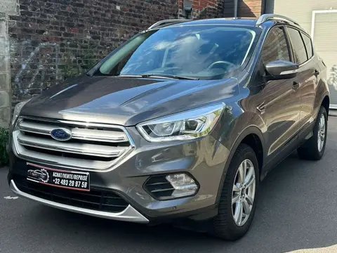 Used FORD KUGA Diesel 2019 Ad 