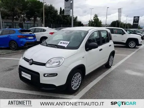 Annonce FIAT PANDA Hybride 2024 d'occasion 