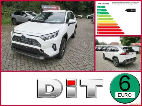 Used TOYOTA RAV4 Hybrid 2023 Ad Germany